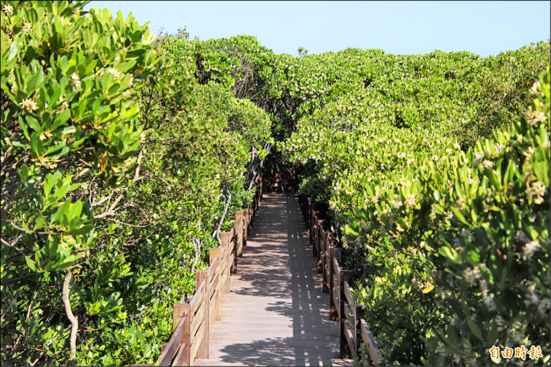 竹縣推濱海觀光 海岸風景特定區劃定