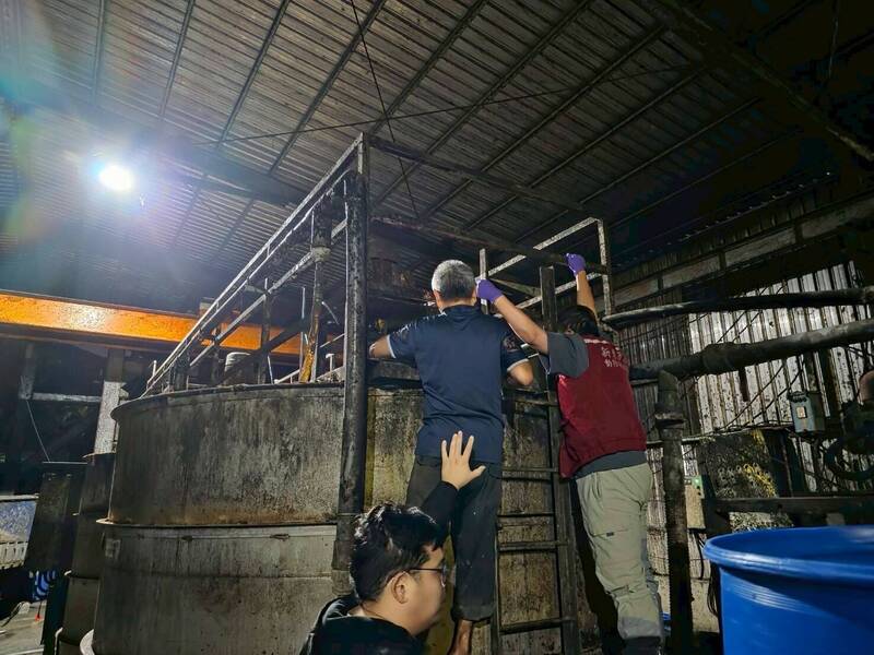 新北市查獲養豬場使用未蒸煮廚餘餵豬 獲農業部肯定