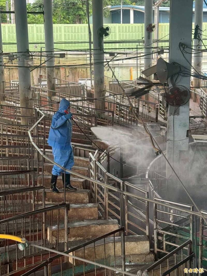 禁宰禁運令解除 高雄11/7供應4300頭毛豬