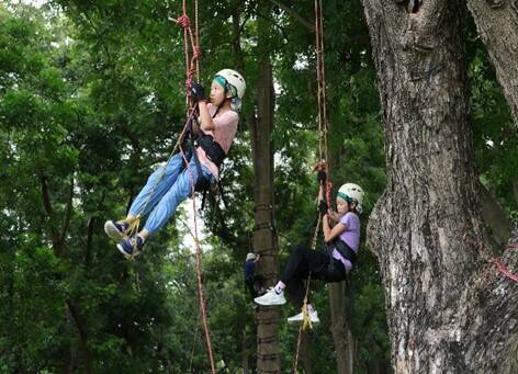 嘉有好市集11/22登場 免費親子攀樹體驗11/17開放報名