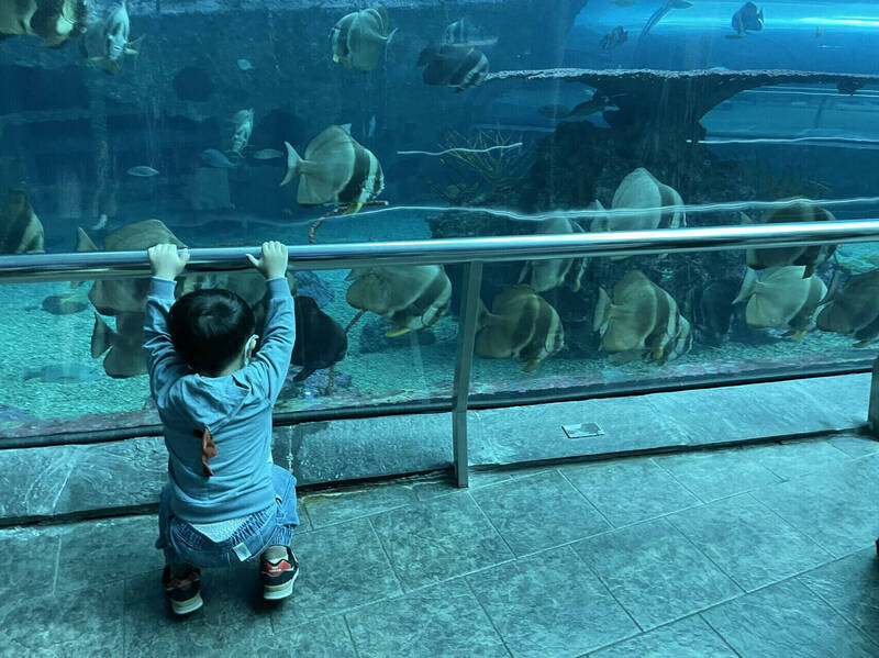 獨家》PETA轟海生館「賣海鮮料理」自打臉 館方:遵循永續海鮮標準