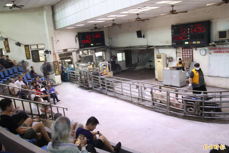 闊別15天!新竹肉品市場恢復拍賣屠宰 交易870頭豬