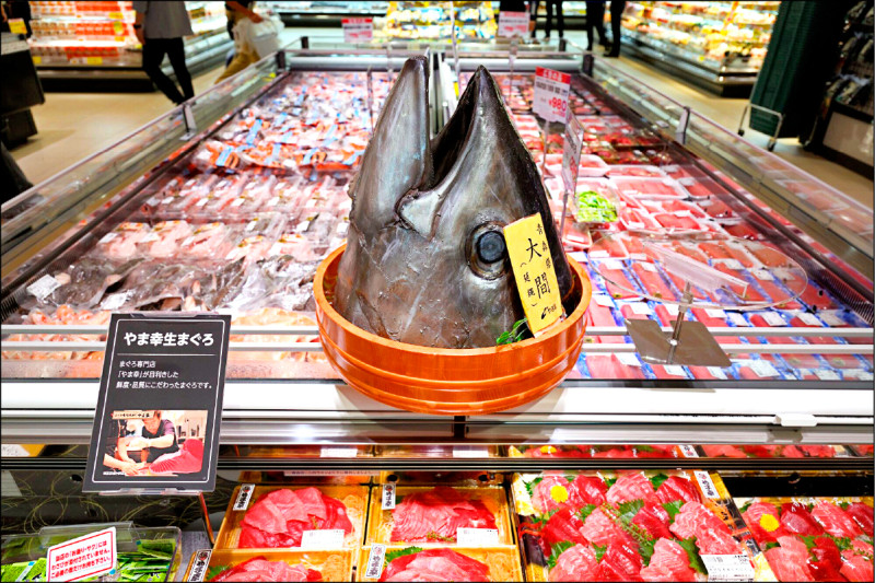 中國恢復日本水產品進口 首批扇貝已出貨