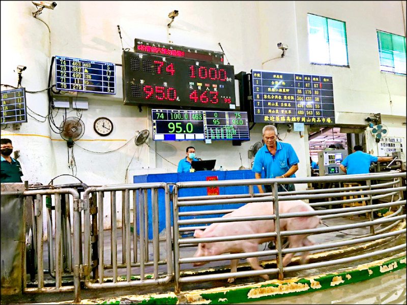 屏東黃昏市場一肉攤溫體豬上架 秒殺