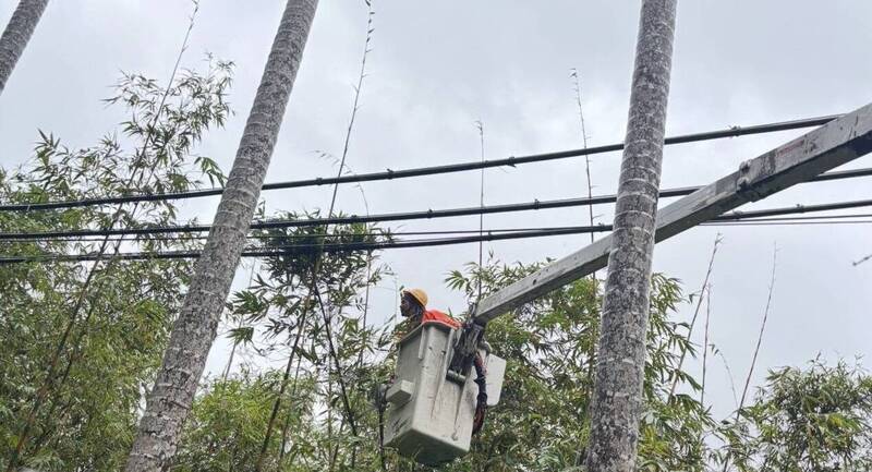 台電基隆區處因應鳳凰颱風整備 修剪樹木、低窪變電所防汛