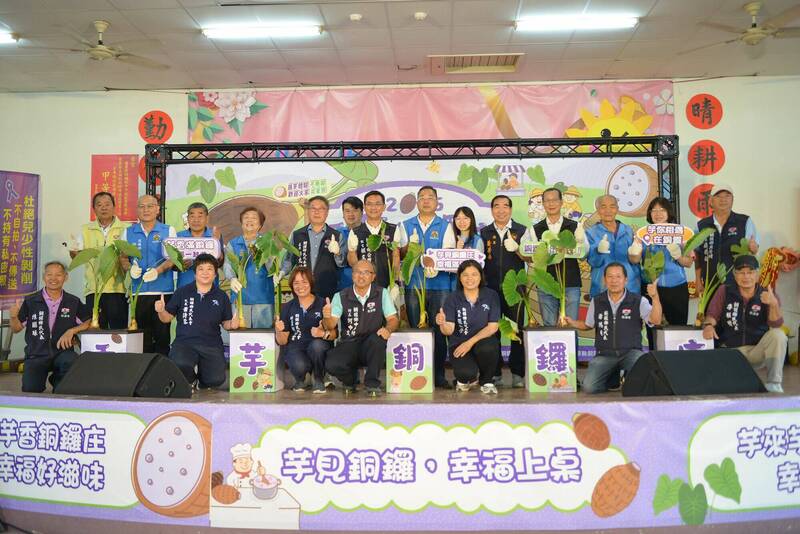 苗栗銅鑼芋頭也優質 公所變花樣廣邀全國遊客