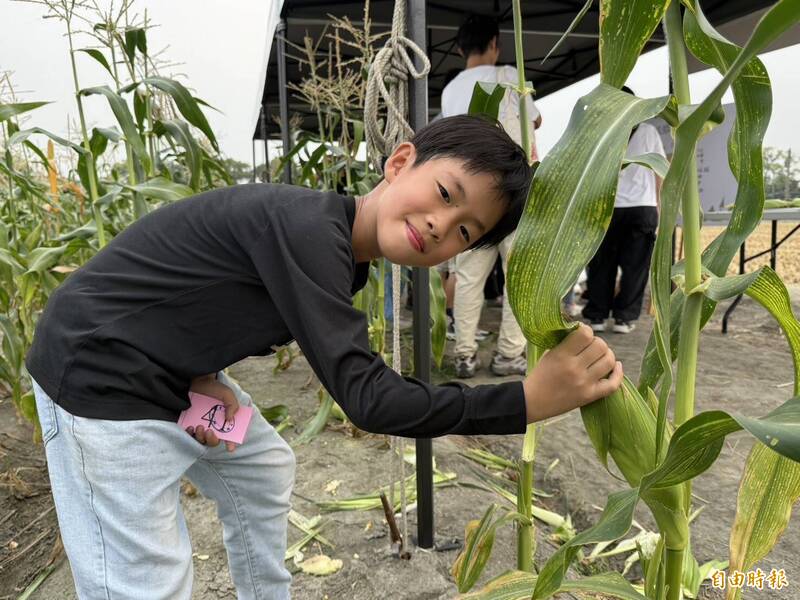 「2025幸福島嶼」在斗南 鮮採番麥、逛市集聽音樂連嗨2天