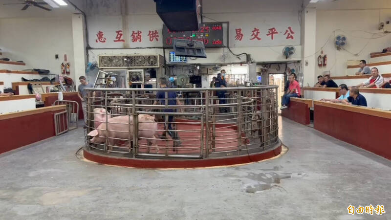 明天休市肉商先搶豬肉 彰化肉品市場衝出112.5元高價