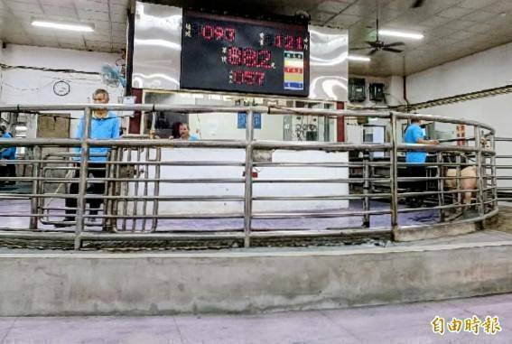 肉品市場開市後第2天 農業部:全國平均拍賣價約111元 尚稱平穩