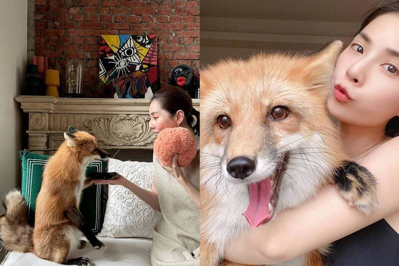 涉侵占公款!前名模蕭瑋葶具保停押爭議 高院發回更裁