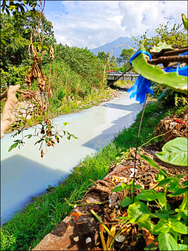 疑遭偷排廢水 南投集集清水溪淪「牛奶河」