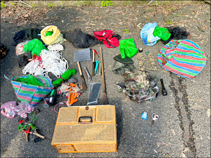 擄鴿集團架網害死4隻黑鳶 警逮2人救出活鴿