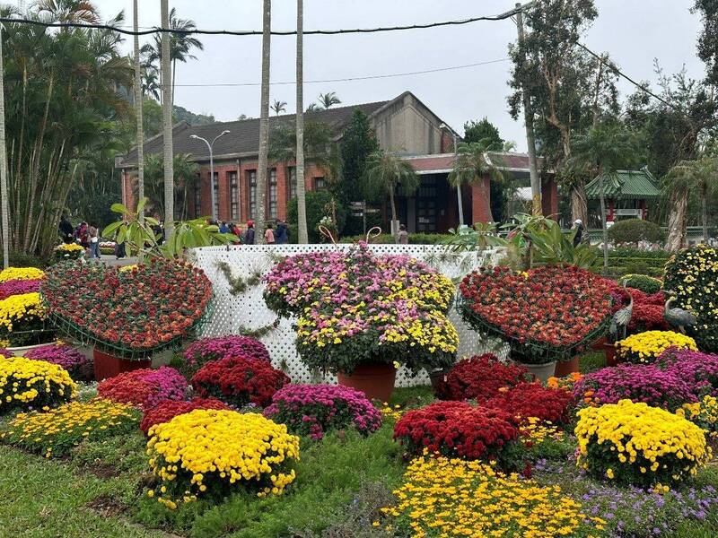 北市壓軸花季 士林官邸菊展15展區逐夢