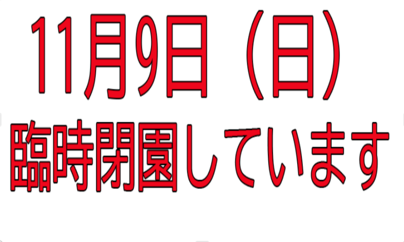 日本札幌圓山動物園驚見棕熊腳印 緊急宣布閉園