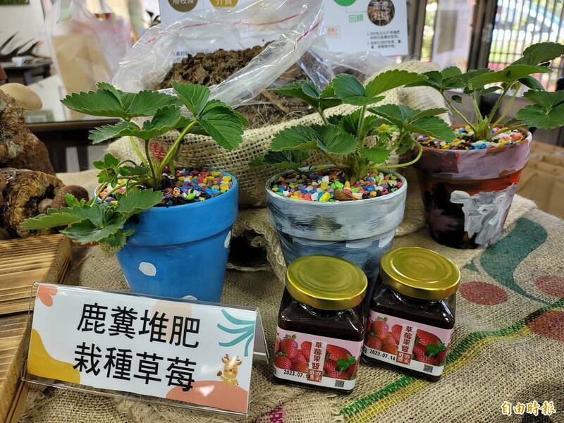 檳榔樹葉編變遮陽帽 南投農業廢料創意利用