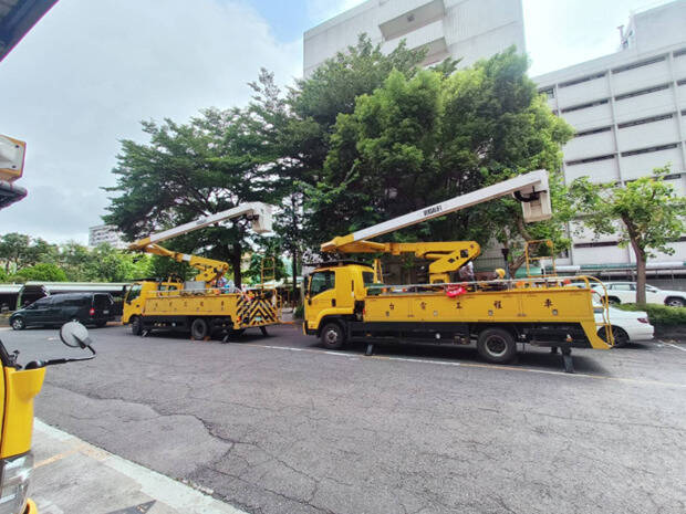 鳳凰颱風進逼 台電備戰、農民搶收