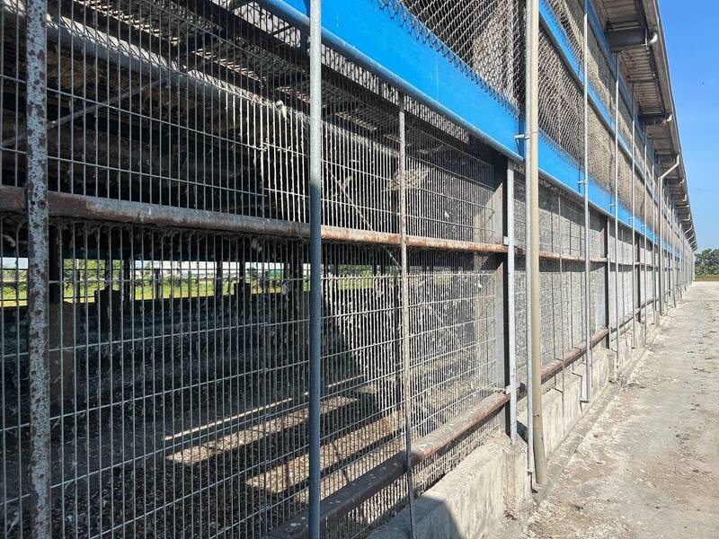 彰化畜牧場雞蛋驗出芬普尼裁罰金額出爐 動防所籲畜主誠實以對