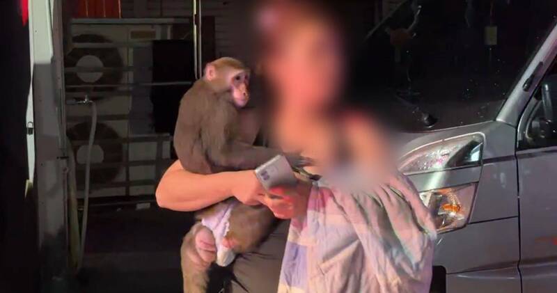 高雄市前镇区衙华街今天（10日）凌晨近1点发生火警，有住户情急之下抱著饲养的猴子逃生，小猴仍穿著尿布。（读者提供）