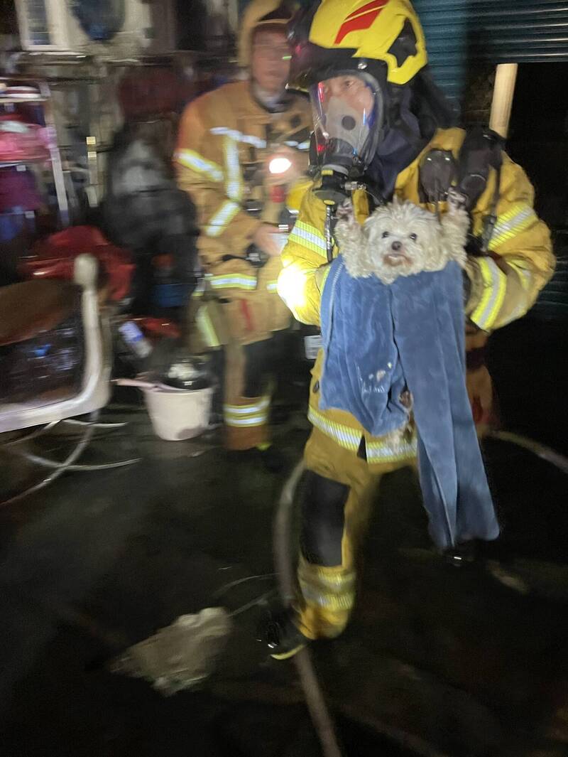 消防队救出宠物狗。（读者提供）