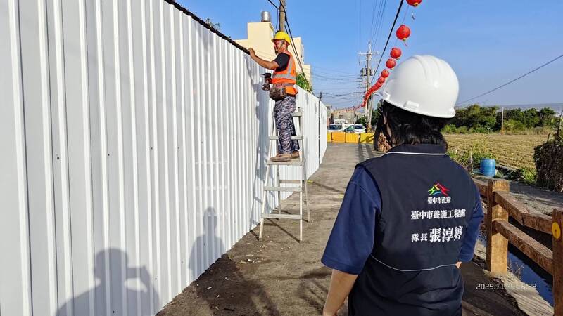 鳳凰颱風來襲!梧棲染疫養豬場加固防外洩