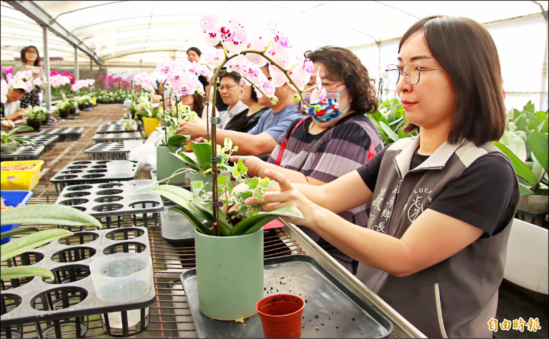 鹿草尋寶 訪蘭園手作、看老中藥房