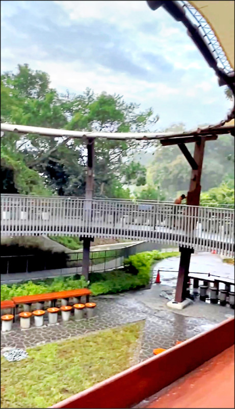 台中大坑新觀音亭 遮陽避雨功能不佳