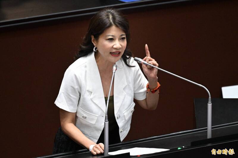 蕭美琴歐洲議會演說遭抹黑 林楚茵:見不得台灣好的造謠仔就該法辦