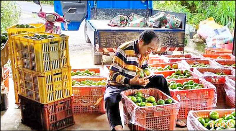 鳳凰暴風圈 今夜至明晨觸陸/氣象署預估明天下半天登陸 專家研判地點位於雲林至高雄間
