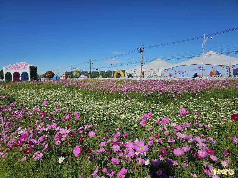 台中花毯節遇鳳凰颱風攪局 盧秀燕:颱風期間不「Call客」賞花