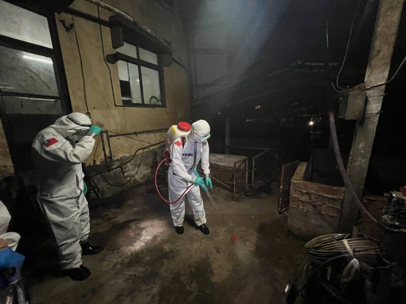 禁止廚餘養豬? 台中市養豬協會總幹事曝廚餘養豬戶心聲