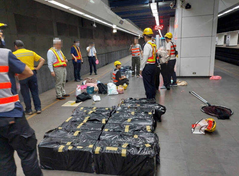 松山車站15歲老貓落軌消失 北市動保處熱像儀搜索、誘捕仍未果