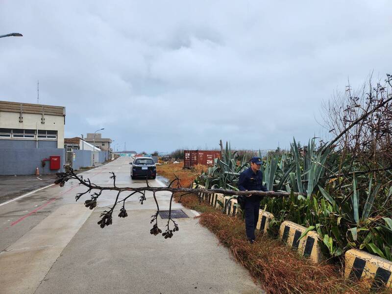 望安東安派出所員警，協助望安農會前路樹倒塌障礙物。（望安警分局提供）