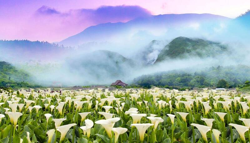 台北氣質城市名片 「花IN台北」4季花展奪4國際金獎