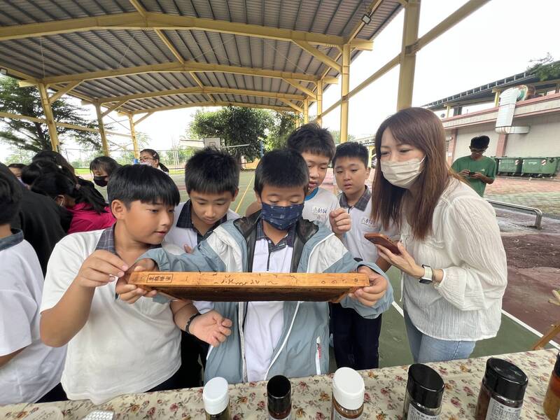 中西區進學國小跨區食農遊學到東山區，東山國小安排以蜂蜜為主題的課程，近距離認識蜜蜂生態。（圖由東山國小提供）