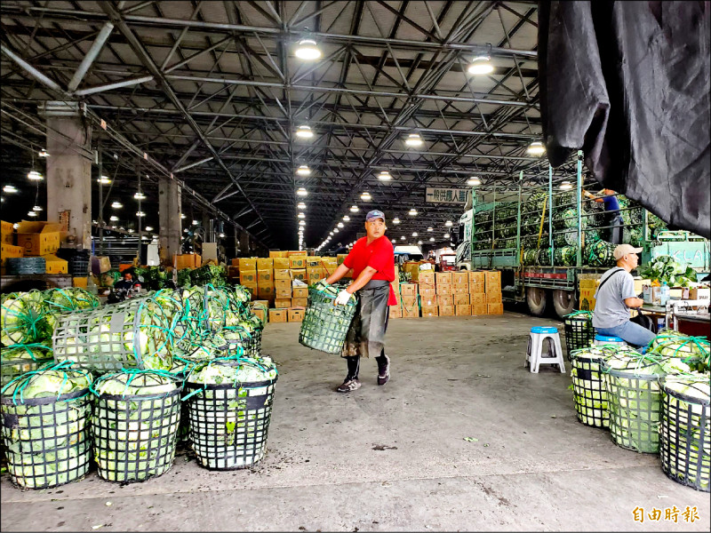 憂心血泡湯 雲林菜農趁風雨前搶收