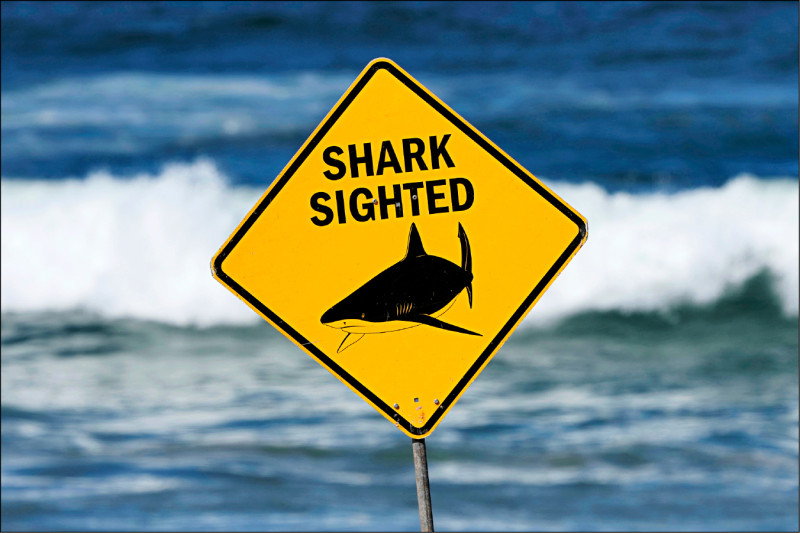 中英對照讀新聞》’Large shark’ kills man off Sydney beach「大鯊魚」在雪梨海灘外海咬死人