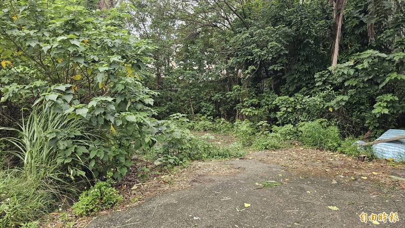 曾犯杀妻案入狱刚获假释的李姓男子，10日于平镇市这处偏僻地点勒杀前女友周姓女子，案发后落网。（记者周敏鸿摄）