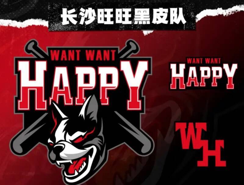 長沙旺旺黑皮隊稱「為兩岸搭起交流橋樑」 周軒：棒球統戰早開始了