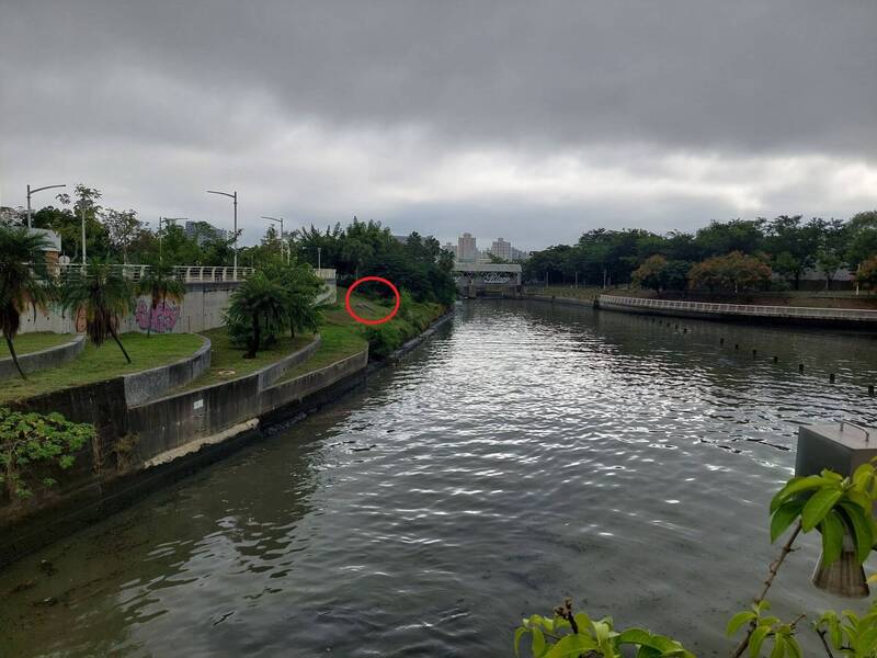 老翁在爱河边坡（红圈处）捡钥匙，不慎滑落至爱河。（民众提供）