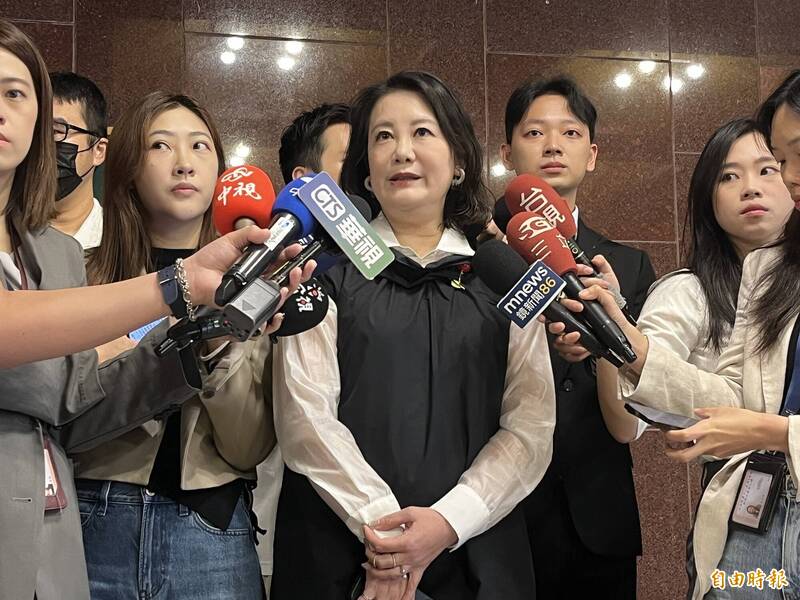 提國會聲明挺沈伯洋 吳思瑤喊話在野：台灣不能繼續無動於衷