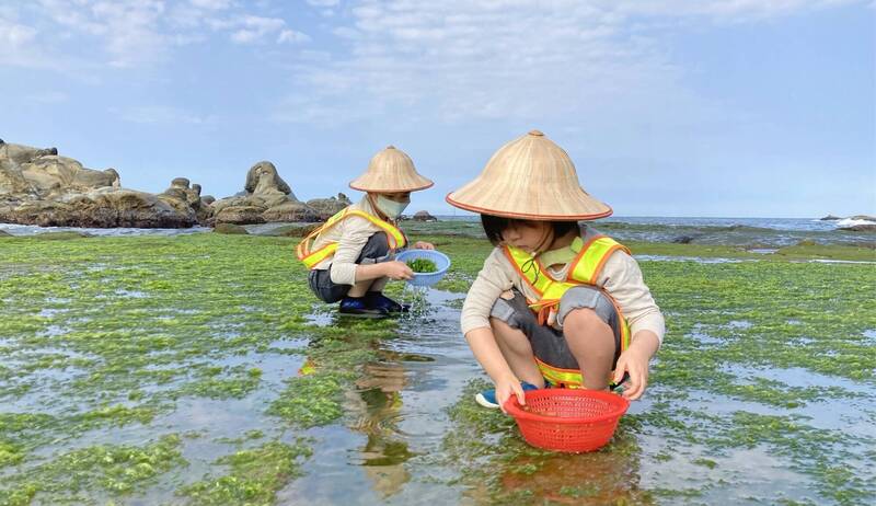 基隆和平島地質公園 獲企業海洋永續貢獻獎