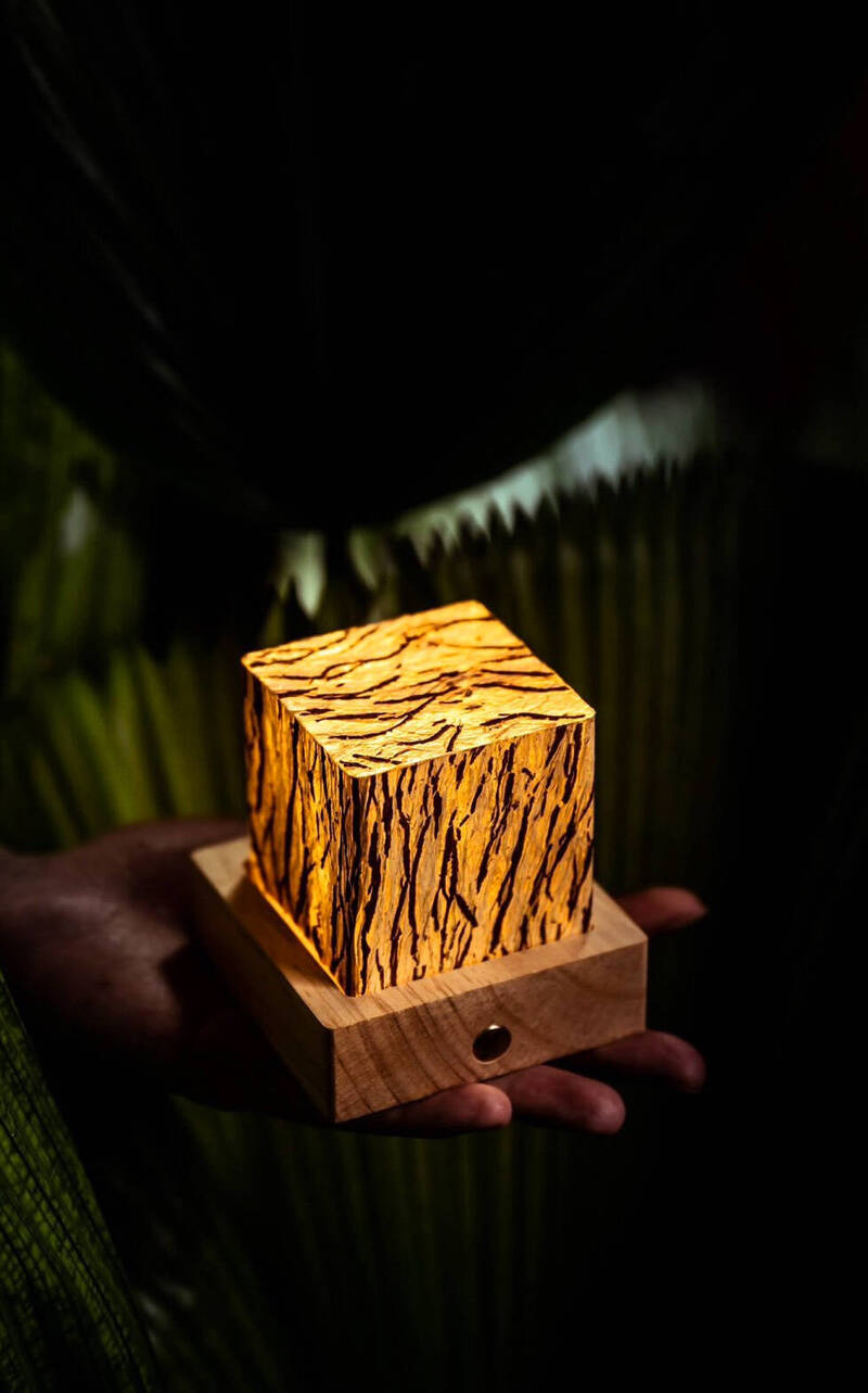 中寮青年手製鹿仔樹皮燈飾 獲選桃園機場國際論壇伴手禮