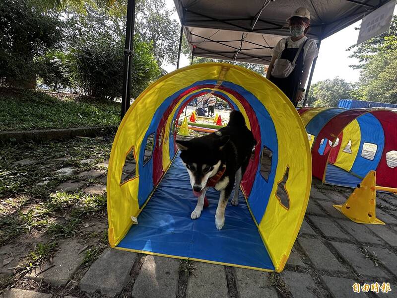 虎頭埤萌寶戲水節  親子、毛孩闖關同樂