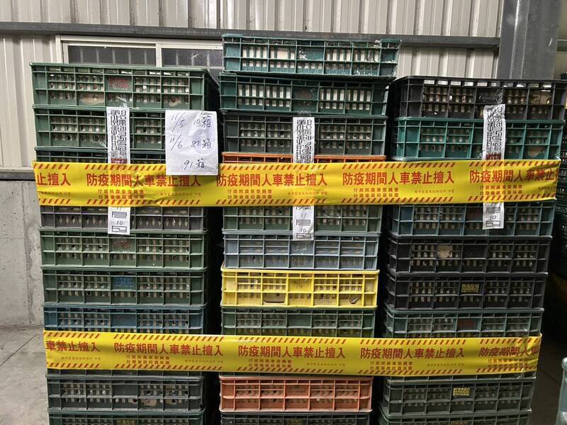 螺絲鬆了?彰化4萬顆芬普尼雞蛋外流台中 王惠美說了6個字