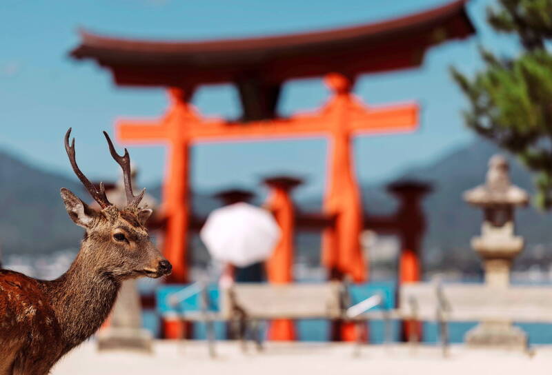名產太便宜或攜帶不便?日本旅遊趨勢分析:老外愛去廣島卻花得少