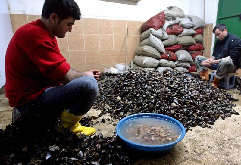 可怕！德國家庭赴土耳其旅遊 享用街頭小吃後3死1重病