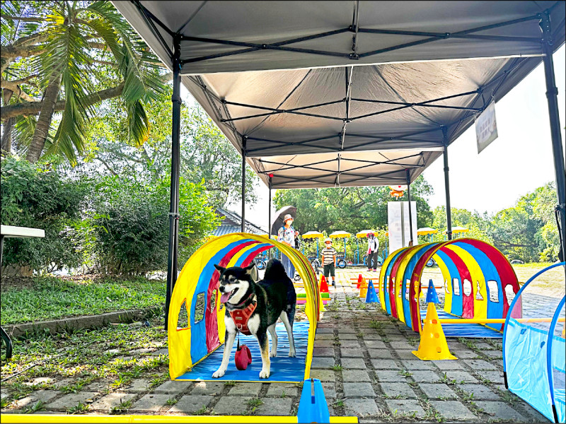 虎頭埤萌寶戲水節 親子與毛孩嗨翻