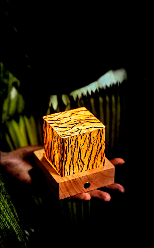 楊博惇用樹皮做燈飾 外國賓客驚艷