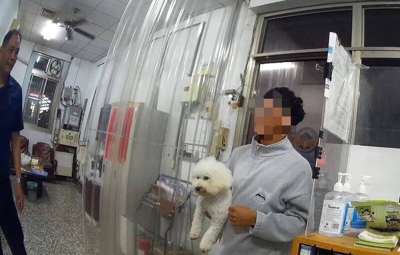 石岡警民溫馨聯手   讓迷途比熊犬「Bubble」幸福回家