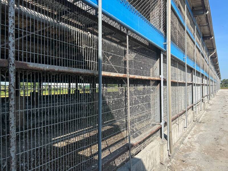 認了有疏失!彰化4萬顆芬普尼蛋外流 縣府坦承「移動管制」未完備